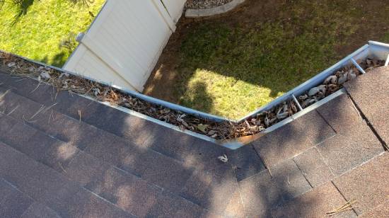 Clogged Gutter System
