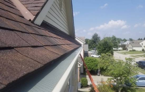 gutter guard services